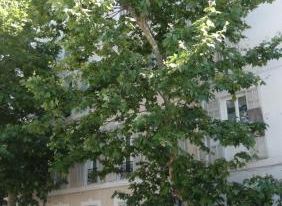 Chambres et Table d'hôtes le Jardin de Tesse