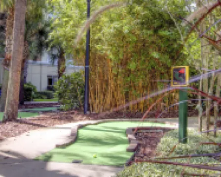 Calypso Cay Vacation Villas Hotels near The Loop