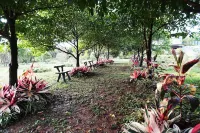 Hug Jang Loei Garden & Resort