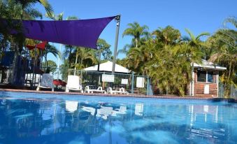 a large outdoor swimming pool surrounded by palm trees , with lounge chairs and umbrellas placed around the pool at BIG4 Hervey Bay Holiday Park