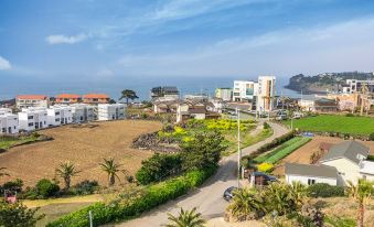 Jeju J le Blanc Pension (Newly Built in 18)