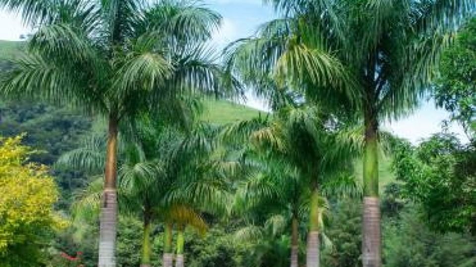 Quintal da Prosa I Hospedagens
