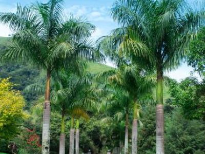 Quintal da Prosa I Hospedagens