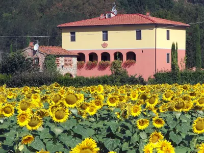 Tara Hotel in zona Resti del Castello di Penna