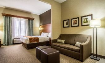 Comfort Suites Hotel and Conference Center