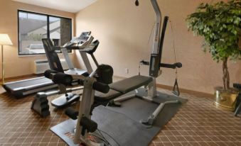 Americas Best Value Inn Romulus Detroit Airport