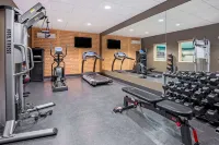 La Quinta Inn & Suites by Wyndham Meridian / Boise West - Fitnessstudio