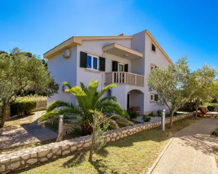 Pavica 6 Hoteles en Palit