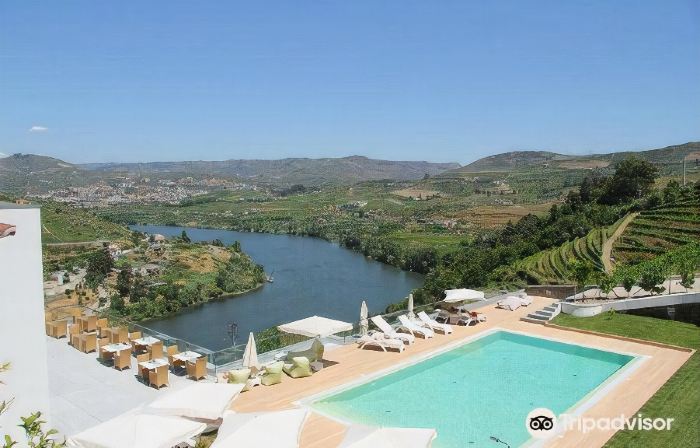 Delfim Douro Hotel