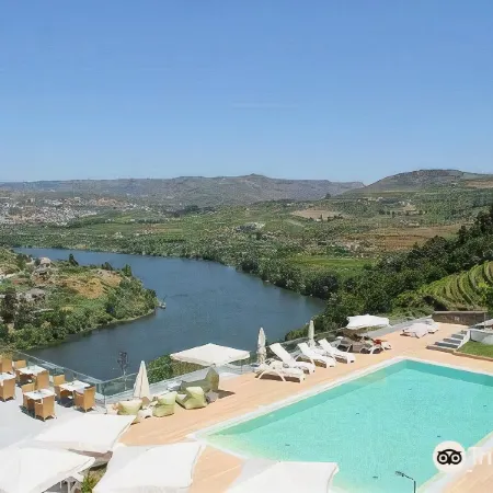 Delfim Douro Hotel