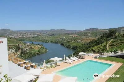 Delfim Douro Hotel Hotels in Samodaes