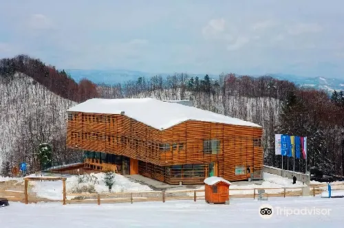 Hotel Celjska Koca فنادق في Dobrisa Vas