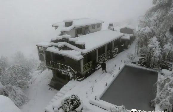 特里舒爾果園度假村