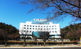 Gyeongju Chosun Oncheon Hotel