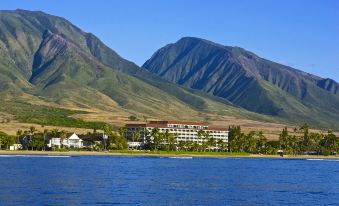 Lahaina Shores