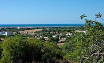 Monte Do Alamo - Turismo Rural