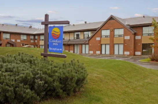 Comfort Inn  호텔
