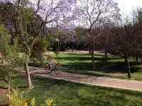 MD Modern Hotel - Jardines - Flughafentransfer