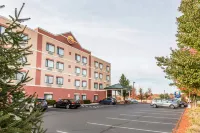 Comfort Inn East Windsor - Springfield Hotels in Enfield