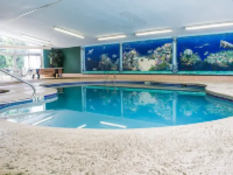 Quality Inn & Suites Bellville - Mansfield Hotels in Bellville