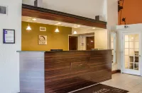 Sleep Inn Near Busch Gardens - USF
