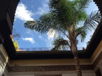 Riad El Ma