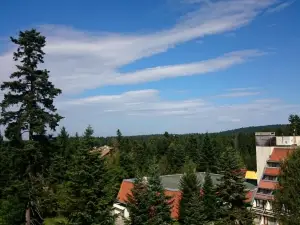 The Lodge Hotel