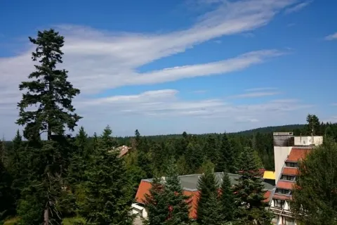 The Lodge Hotel