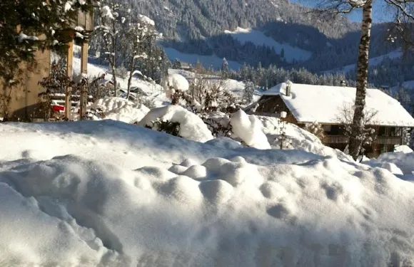 埃裏卡小屋公寓