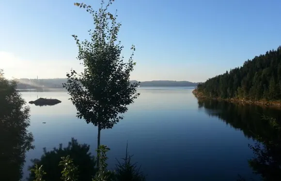 河洛亞波什格倫公寓