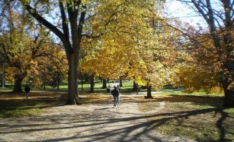a man and a woman are walking down a path in a park , surrounded by trees with yellow leaves at Residence Inn Lansing West