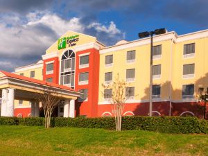 Holiday Inn Express & Suites Tampa-Fairgrounds-Casino