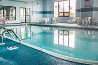 弗林特/畢曉普國際機場戴斯酒店