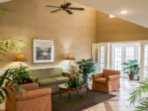 Econo Lodge Hotels in Pitt County