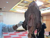 Nomuraya Ryokan Hotel a Jōsō