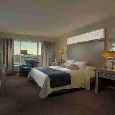 Palace Casino Resort Rooms