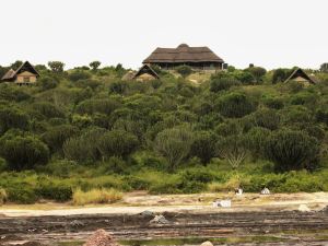 Kasenyi Safari Camp