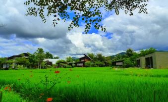 Love Pai Home - Housity
