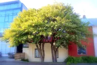 Grettir Guesthouse
