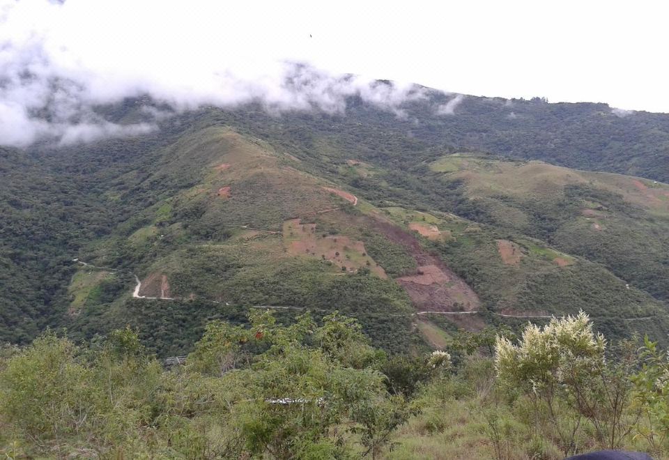 Coca Wasi: the House of the Coca Plant - Housity