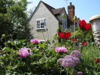 Motts Bed & Breakfast Hotels in Great Dunmow