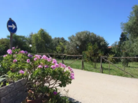 Camping Valle dei Templi