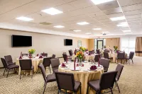 Comfort Suites Greenville South - 2-Star