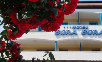 "a red flower in front of a white building with the name "" terra bora "" on it" at Bora Bora Hotel