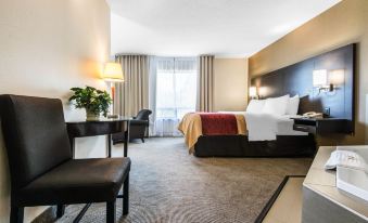 Comfort Inn