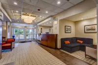 Comfort Inn & Suites North Conway Hotels in Hale's Location