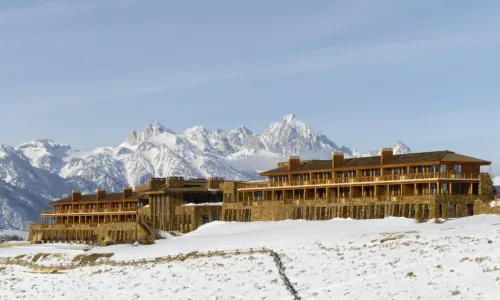 Amangani