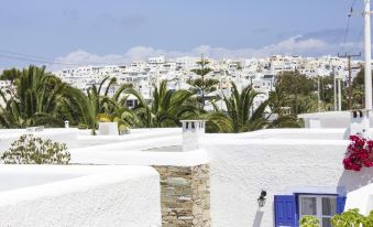 Naxos Holidays