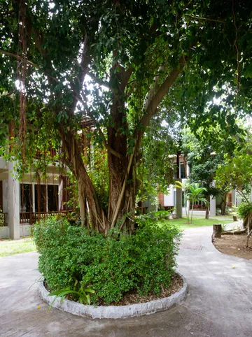 รูปภาพของแซนด์ซีรีสอร์ต