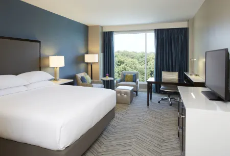 Hyatt Regency Atlanta Perimeter Villa Christina